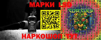 гашик Аша
