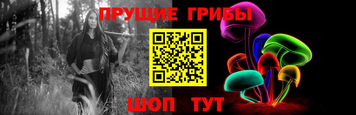 Александров  Галлюциногенные грибы ЛСД  Галлюциногенные грибы ЛСД  Вход с VPN 